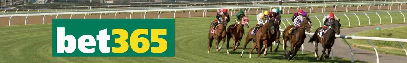 Horses racing